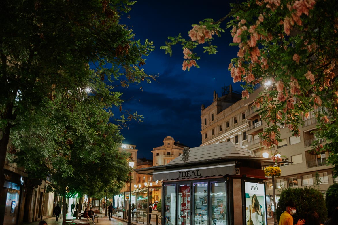 Puerta Real Granada