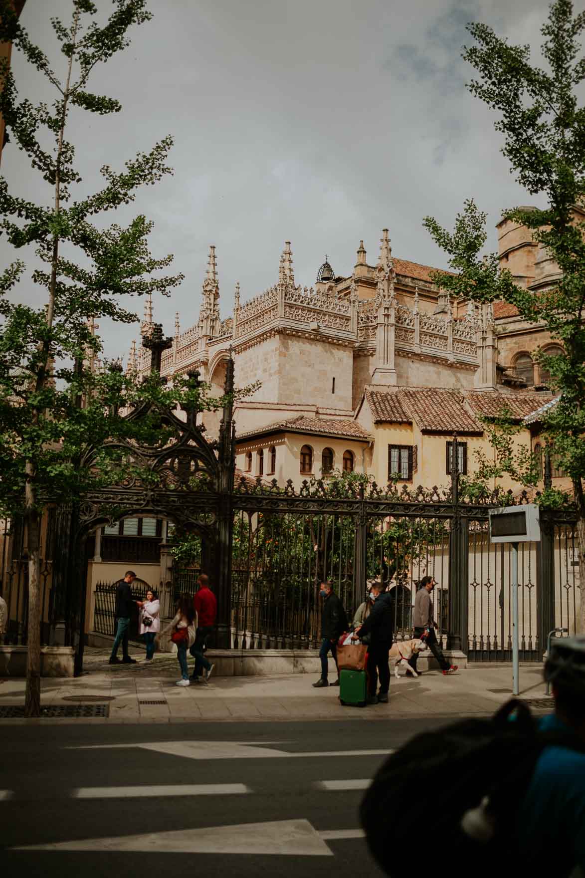 Fotografo de Bodas en la Catedral de Granada
