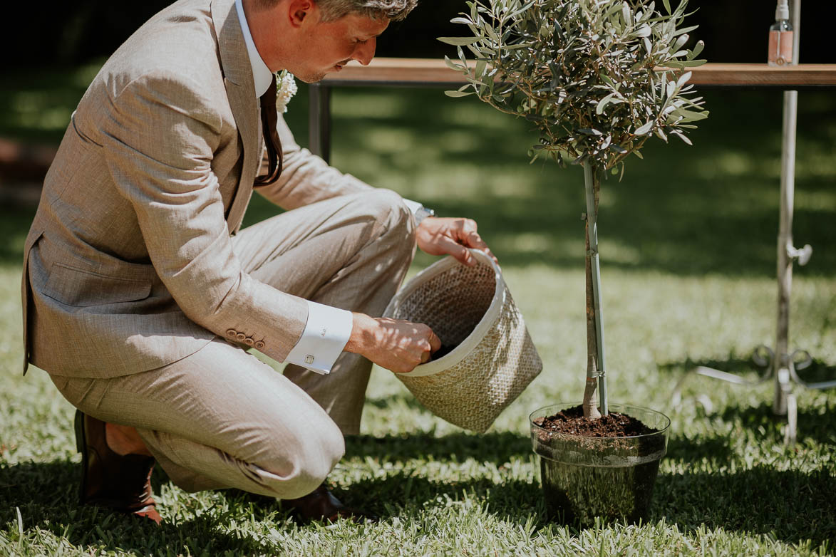 Plantar un Arbol Ceremonia de Boda