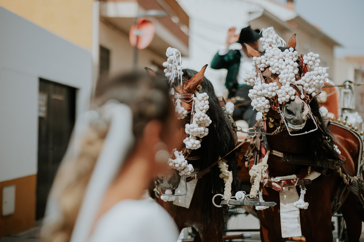 Boda con Carruaje de Caballos Sevilla