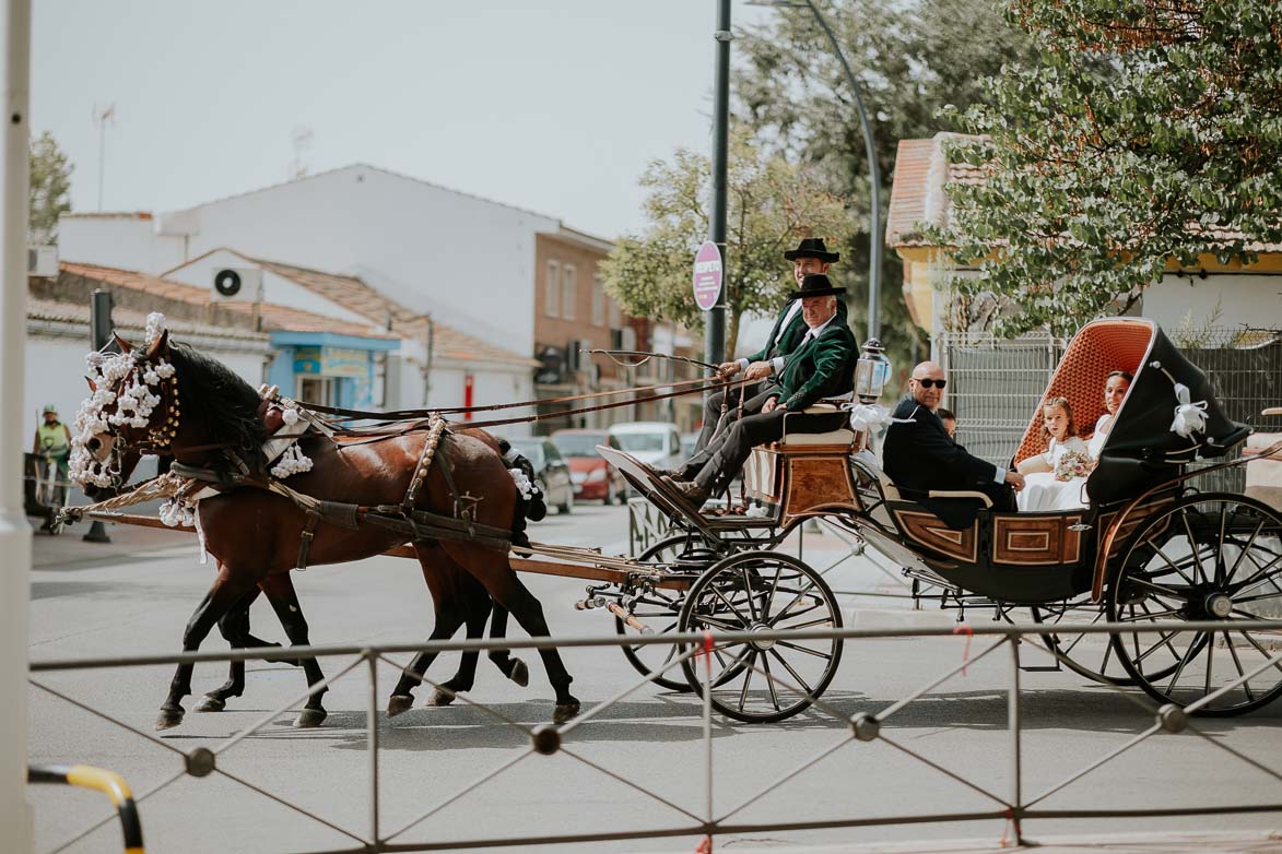 Boda con Carruaje de Caballos San Martin de La Vega