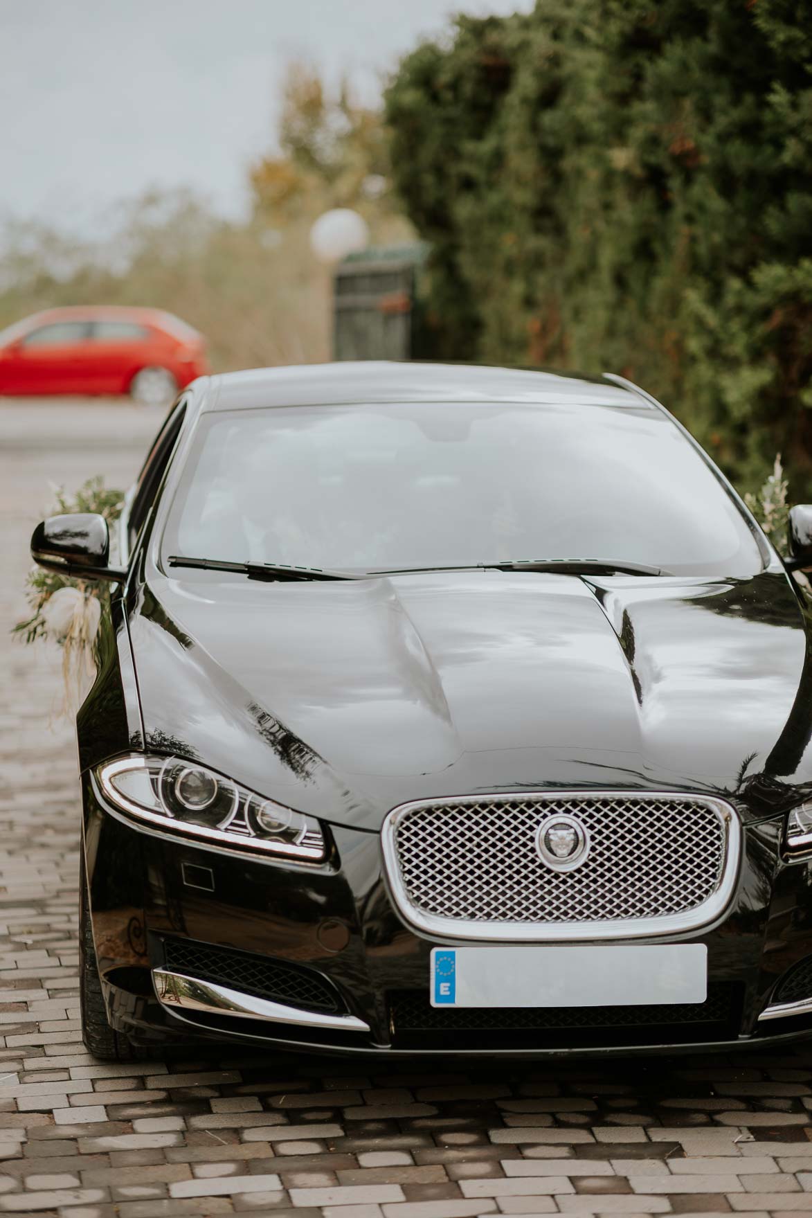 jaguar para Bodas