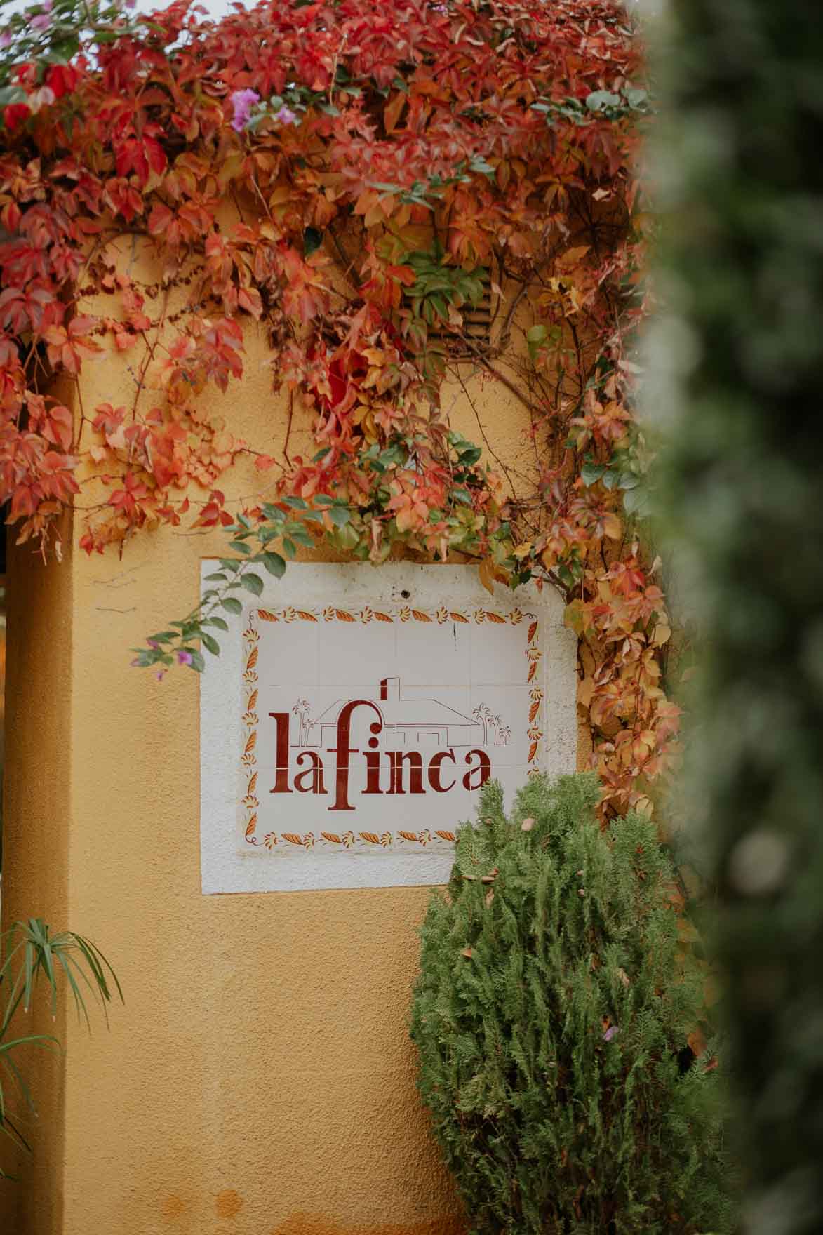 Restaurante La Finca Elche