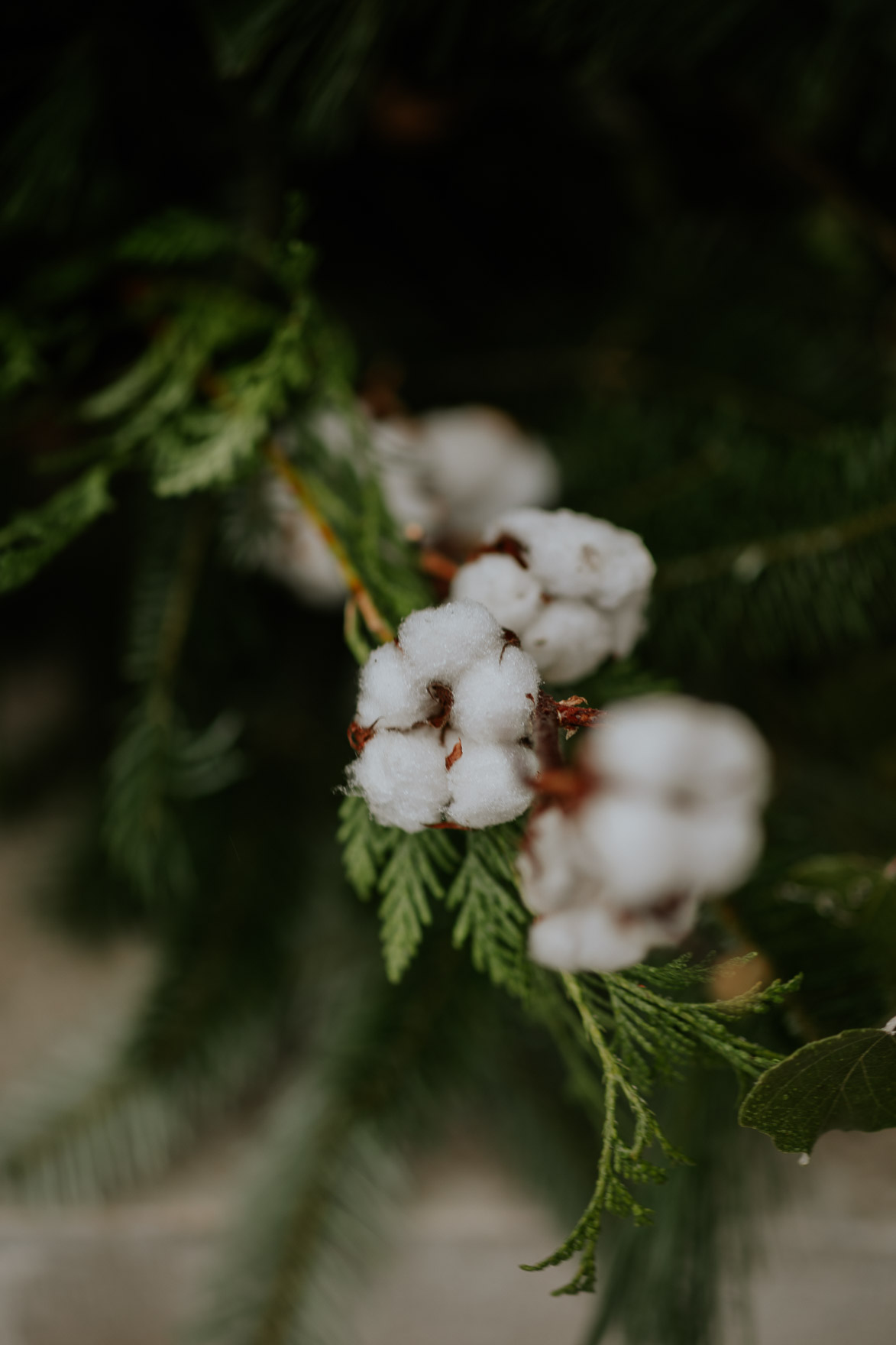 Decoración de Bodas en Navidad