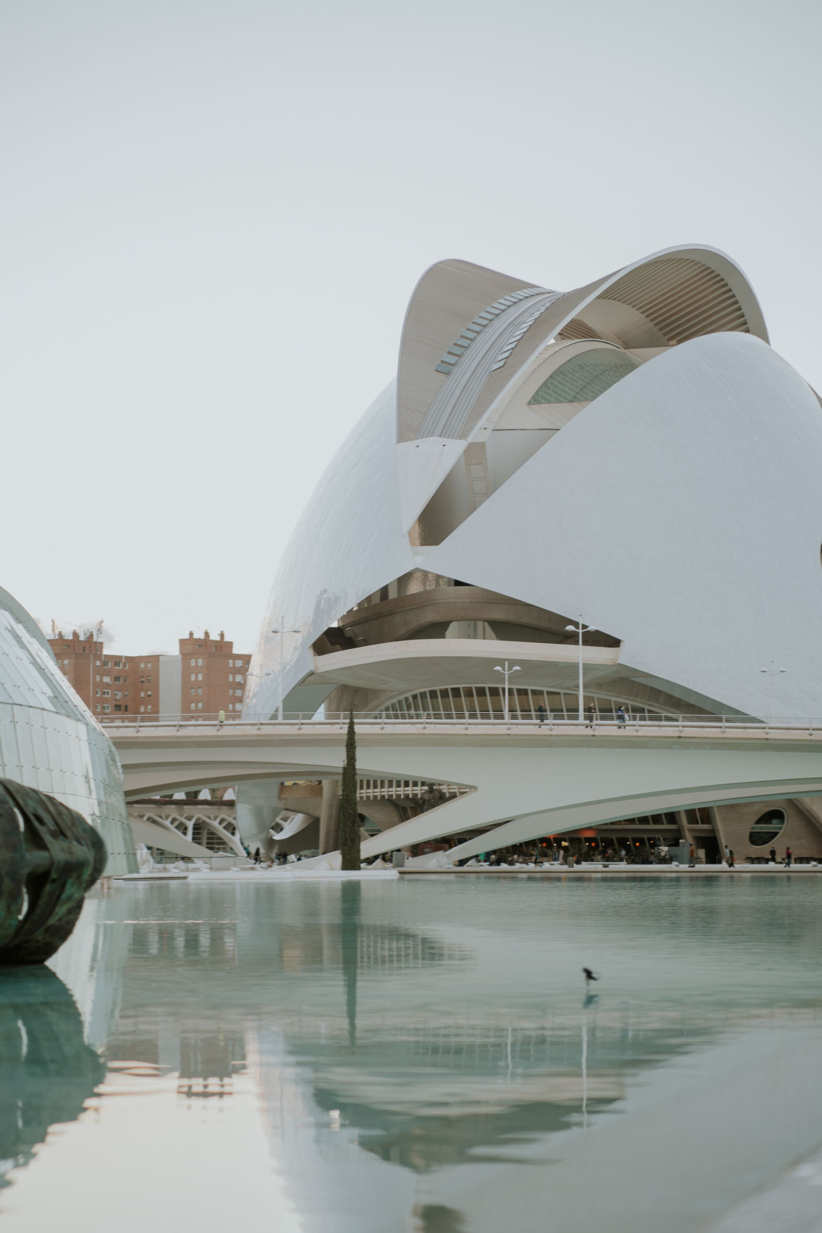 Fotos de Preboda en Ciutat de les Arts Valencia