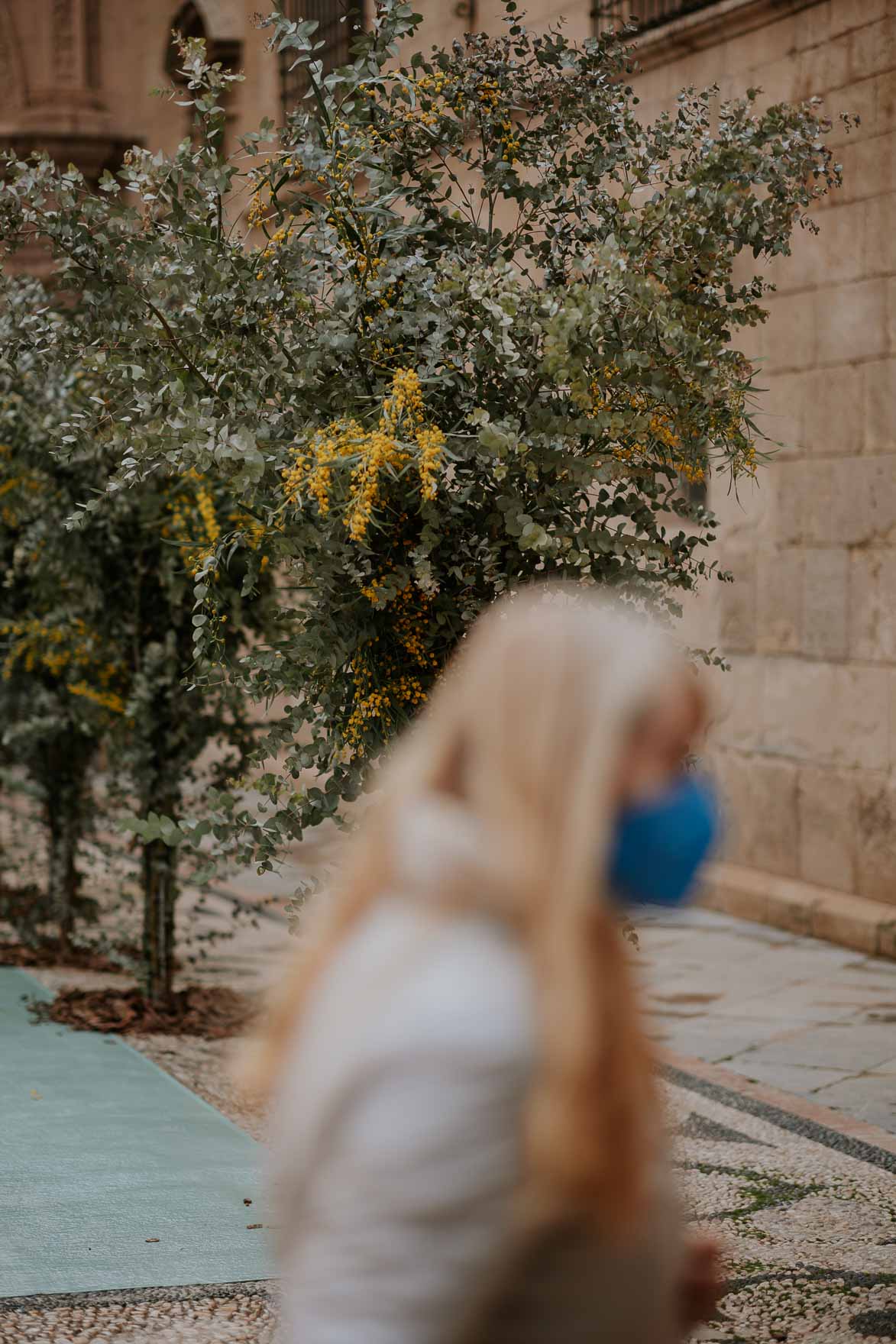 Decoracion de Boda con Arboles en Catedral de Murcia