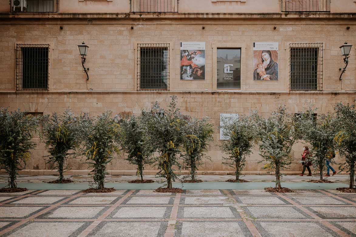 Decoracion de Boda con Arboles en Catedral de Murcia