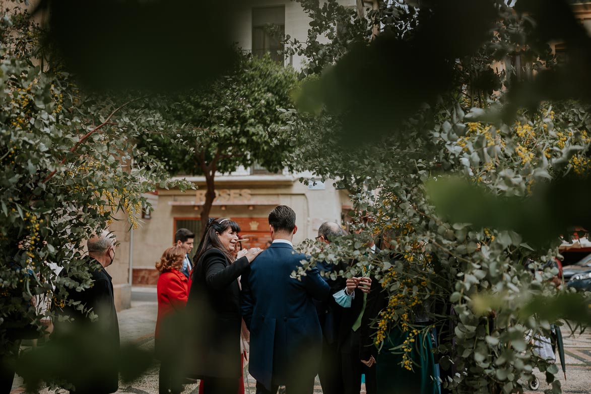 Decoracion de Boda con Arboles en Catedral de Murcia by David de Sant