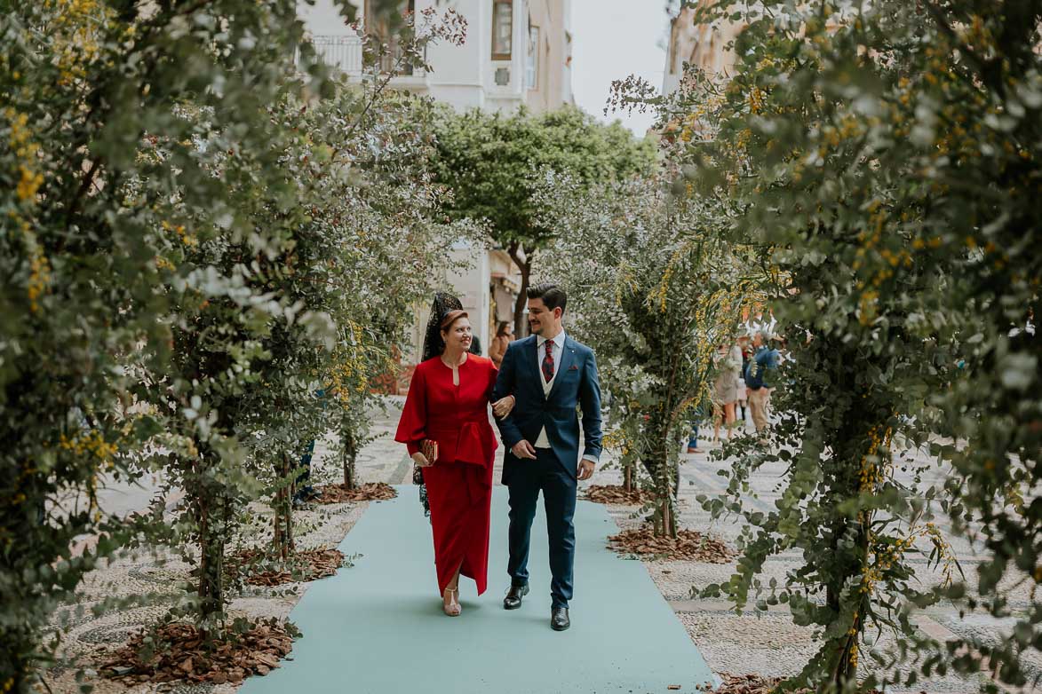 Decoracion de Boda con Arboles en Catedral de Murcia by David de Sant