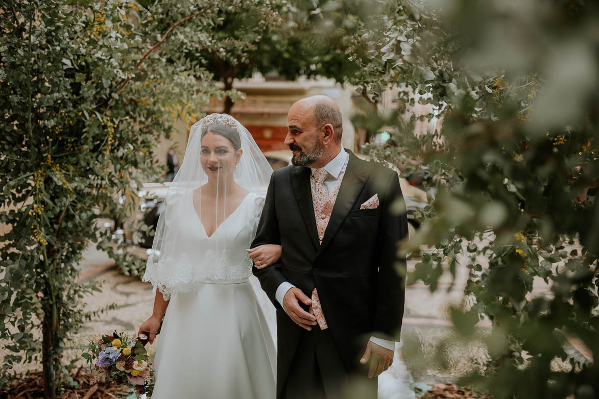 Fotos entrada de Novia Velada en Catedral de Murcia