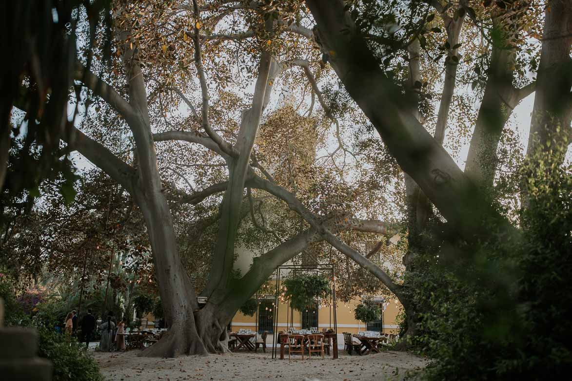 Decoracion de Bodas en Jardines de Abril