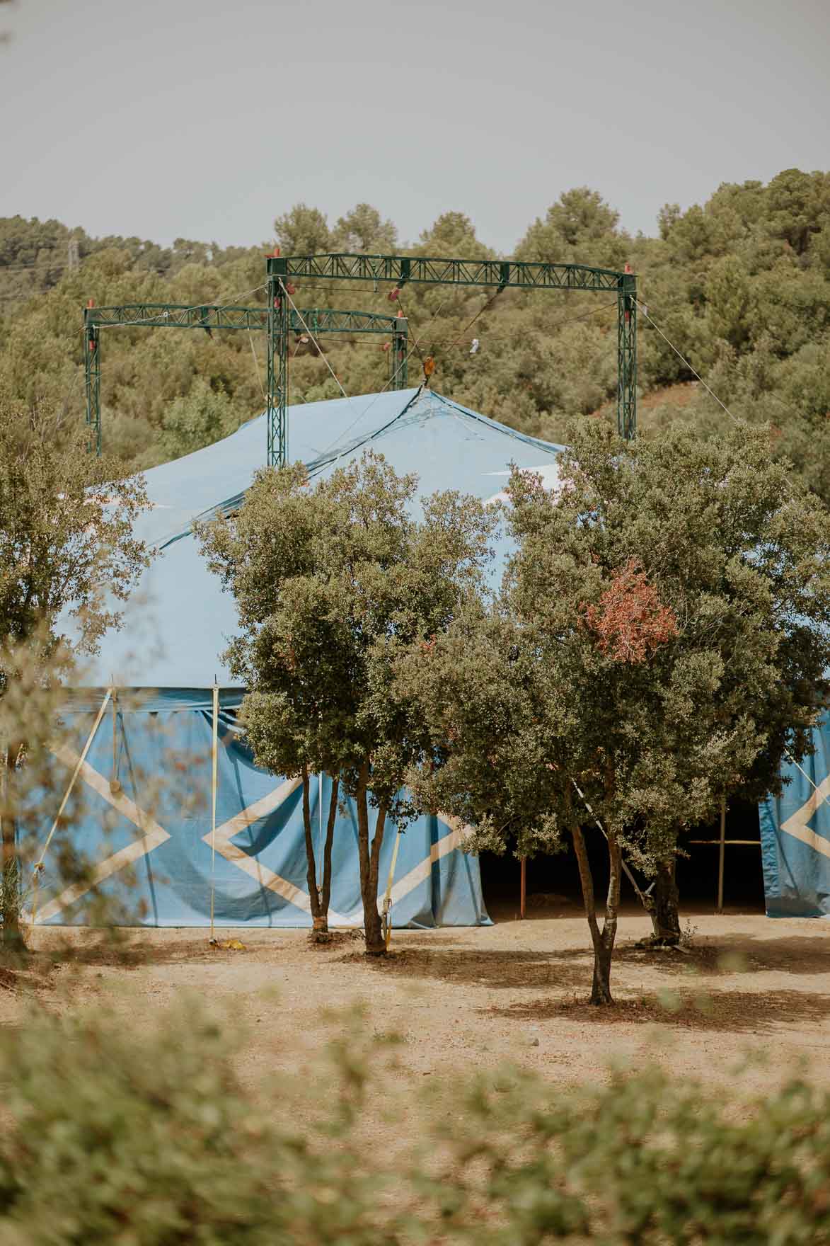 Bodas en un Circo