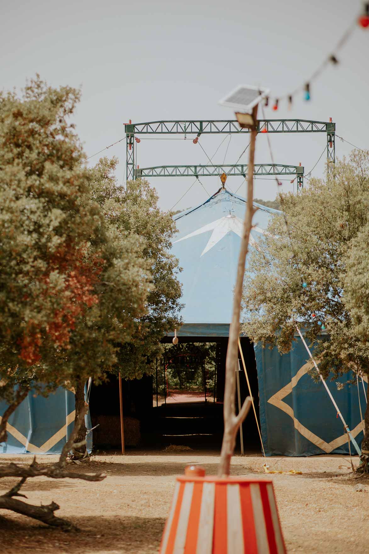 Bodas en un Circo