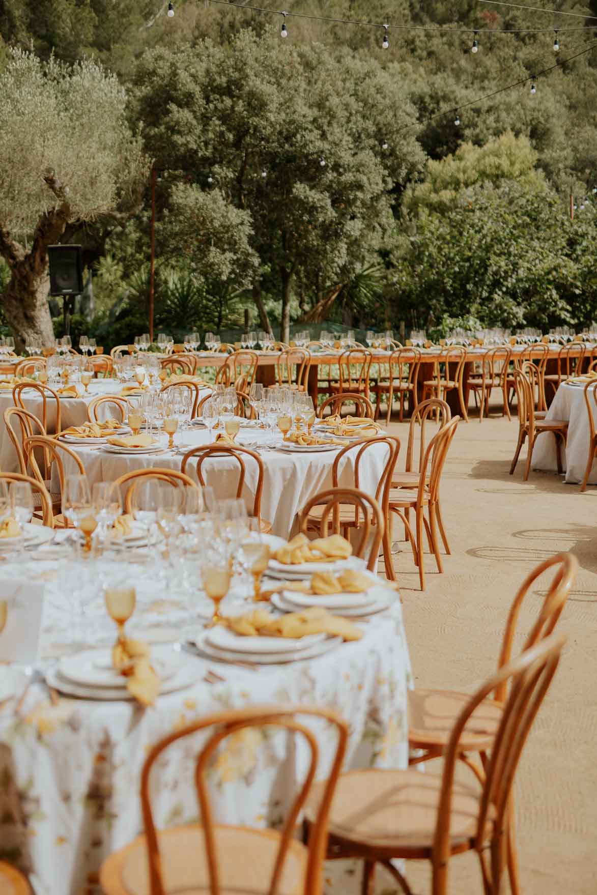 Boda en La Avellana Tarragona