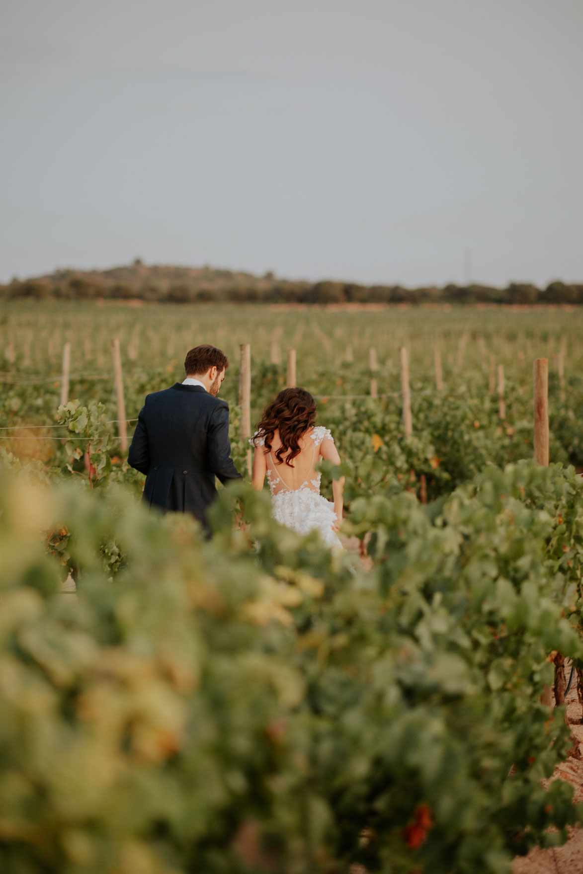 Boda Albacete Finca Bodega Los Aljibes