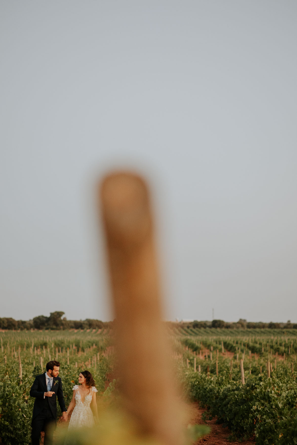 Boda Albacete Finca Bodega Los Aljibe