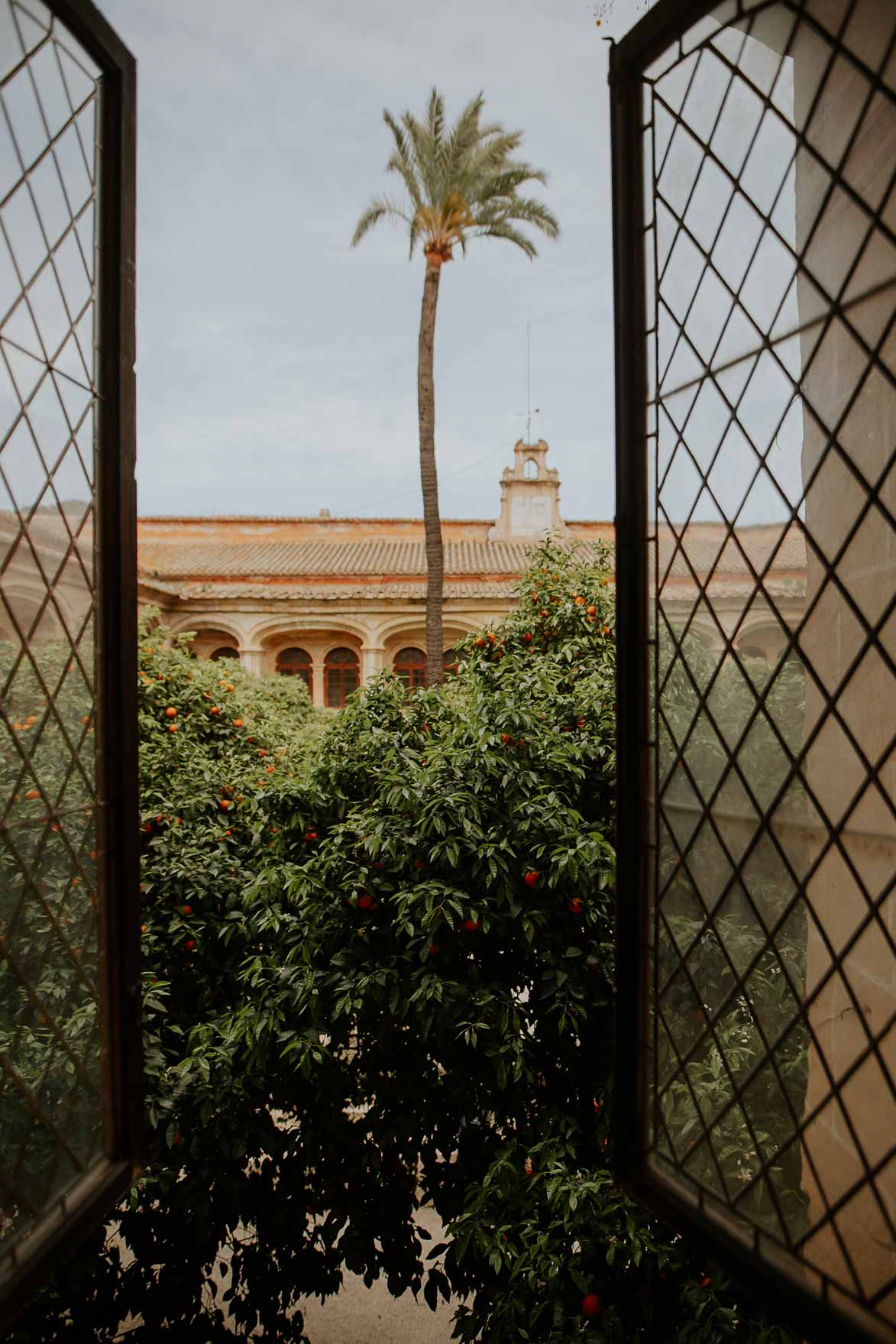 Boda Monasterio de Sant Jeroni de Cotalba