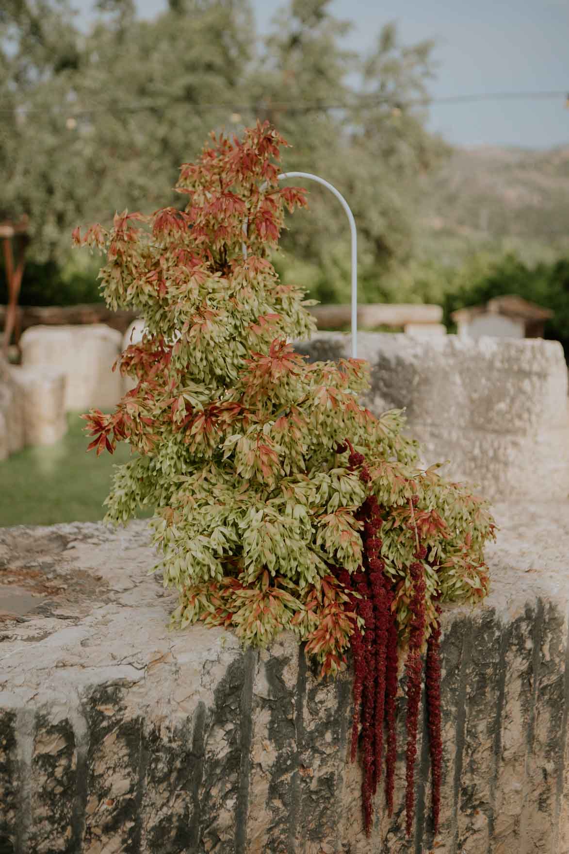 BODA CASA BENIGALIP ROMEOS Y JULIETAS