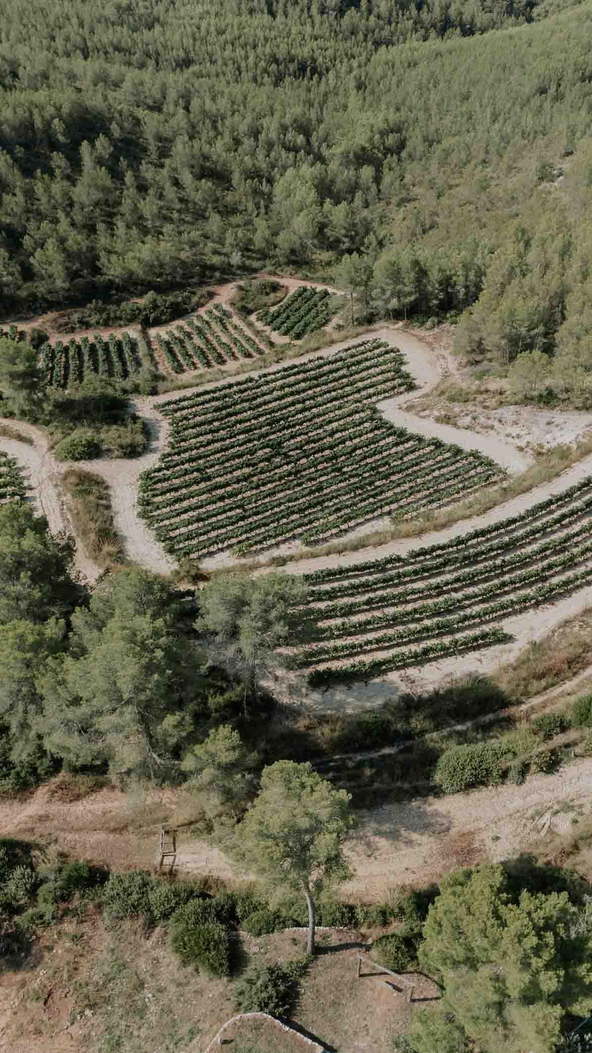 Masia Pou de La Vinya Sitges