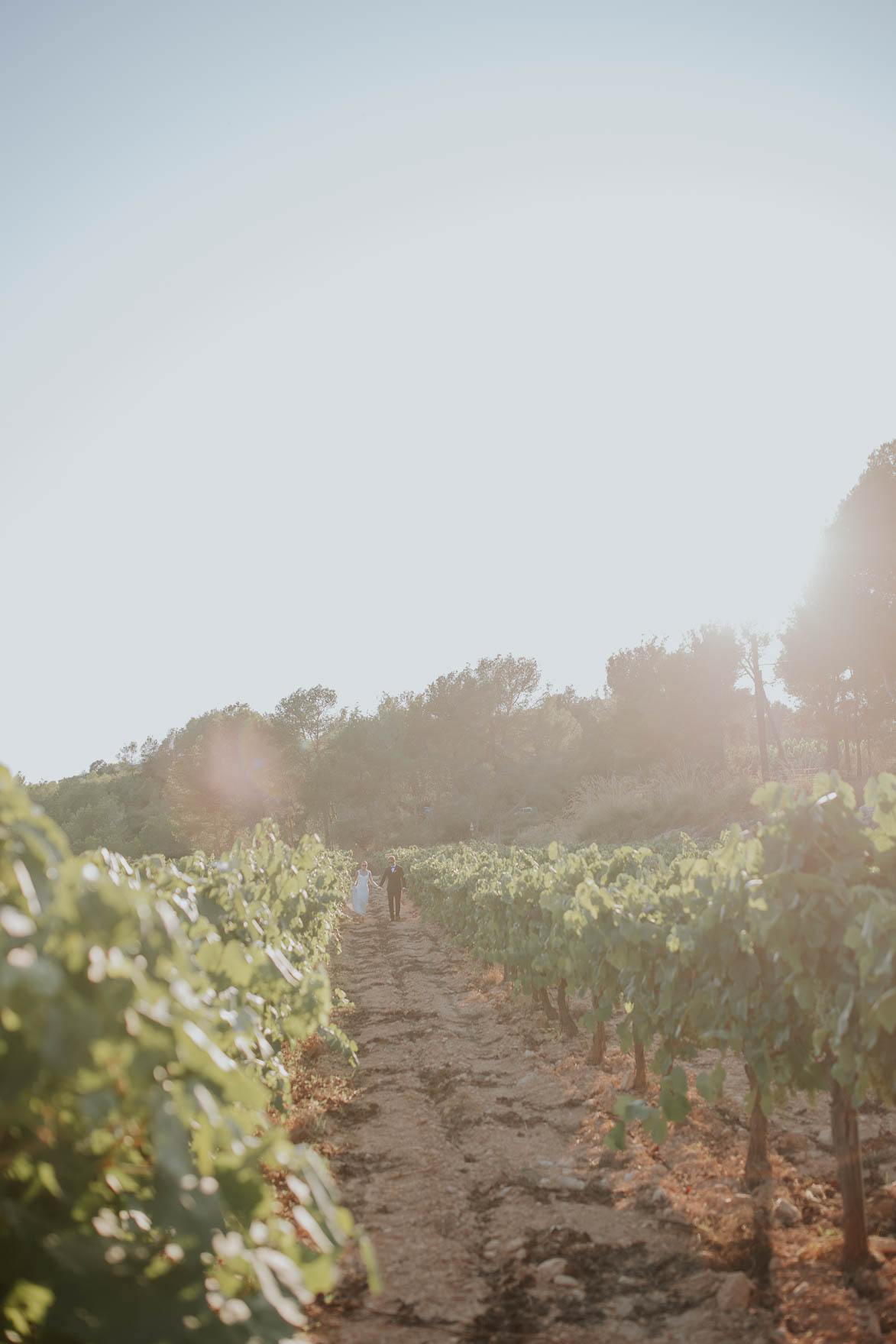 Elegant Masia Wedding in Sitges - Pou de la Vinya Sitges, Spain