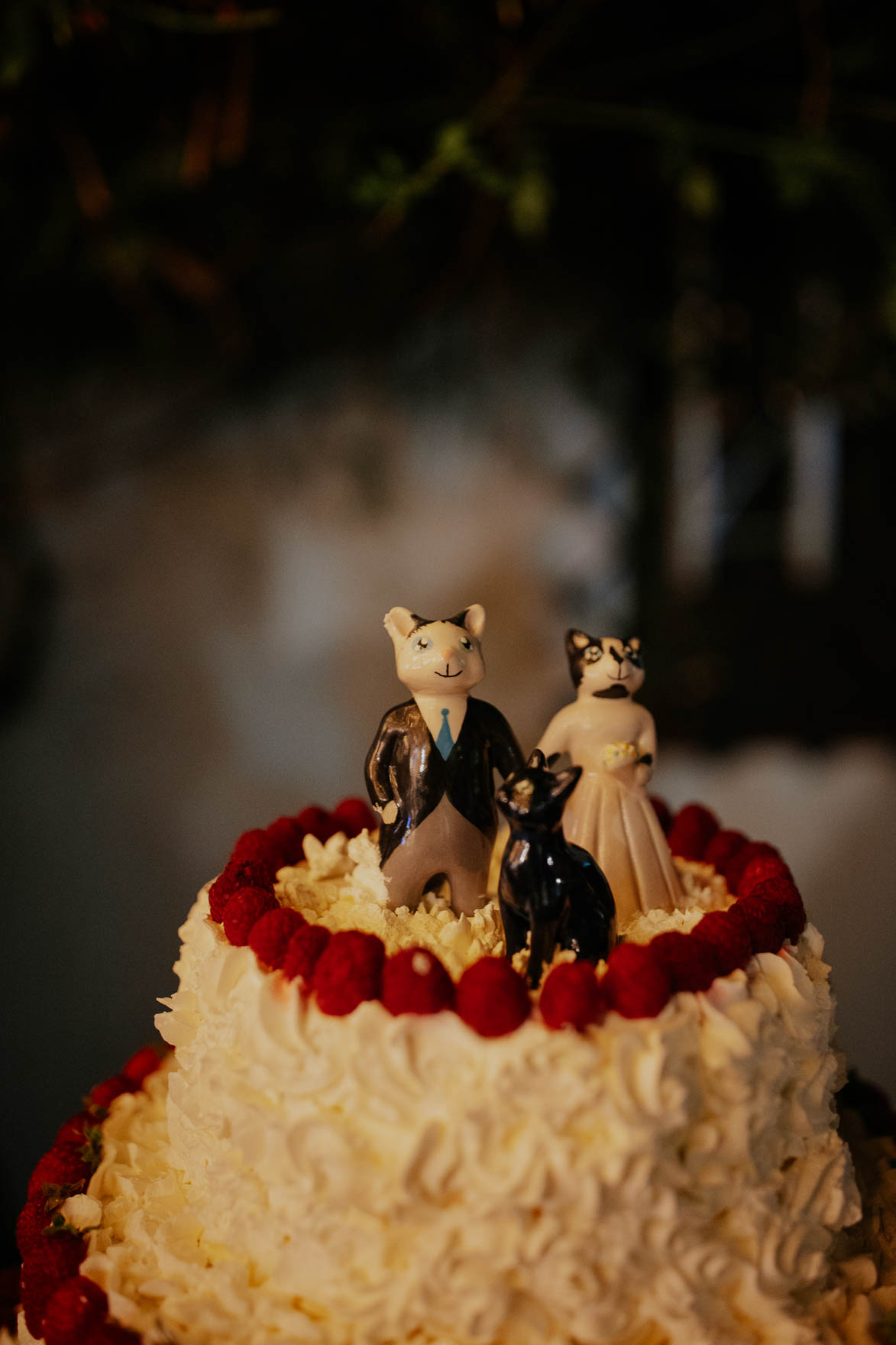 BODA EN FINCA PRIVADA