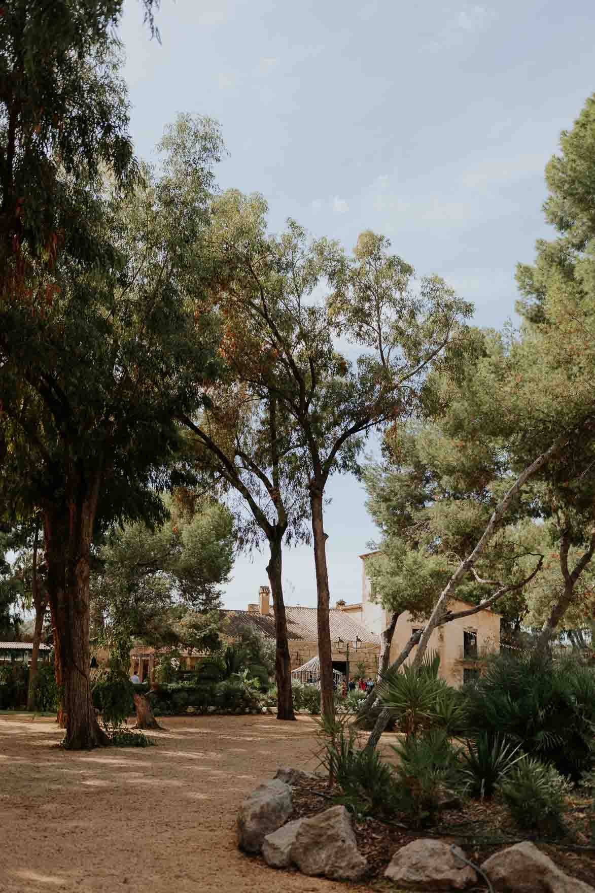 FINCA TORRE BOSCH