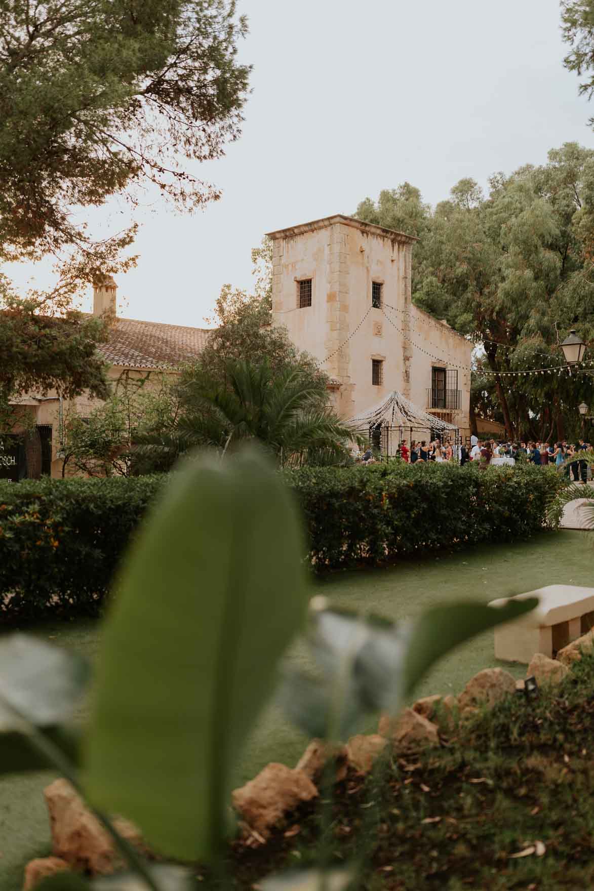 FINCA TORRE BOSCH