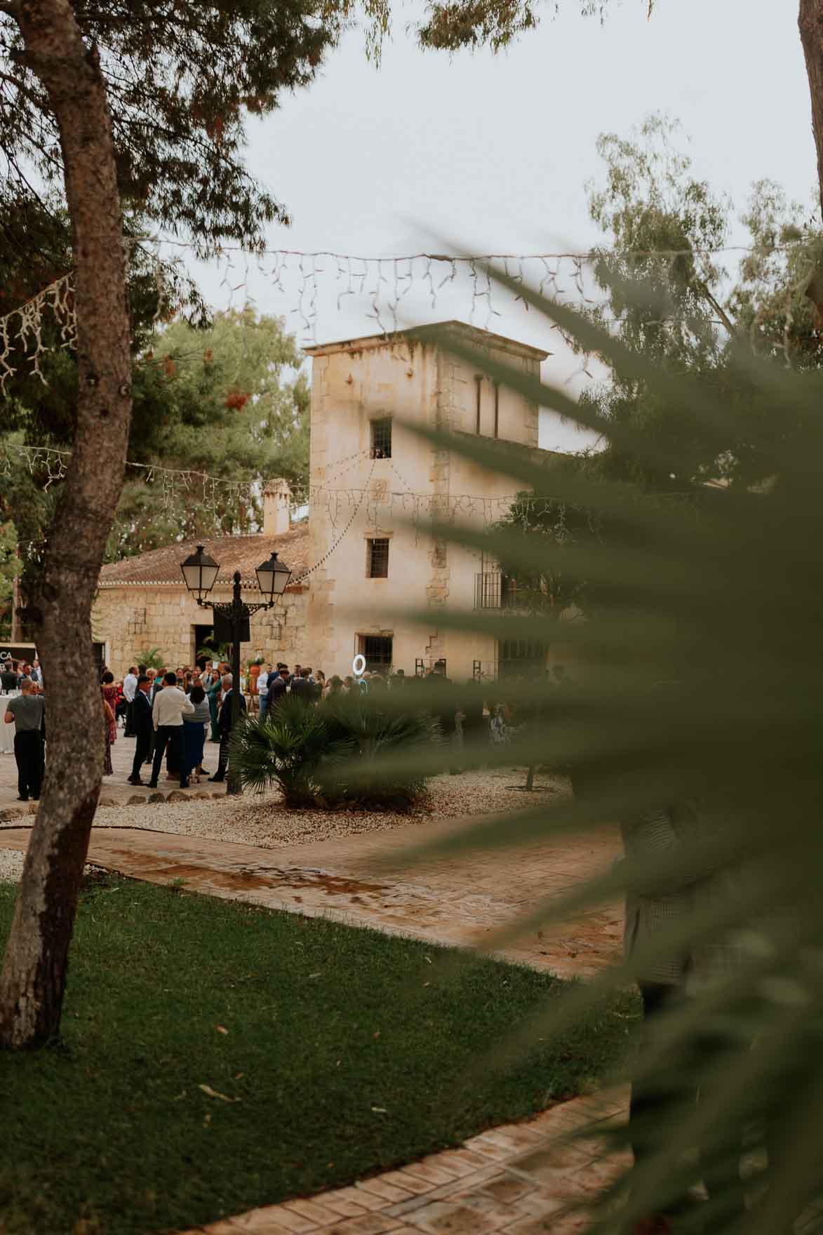 FINCA TORRE BOSCH