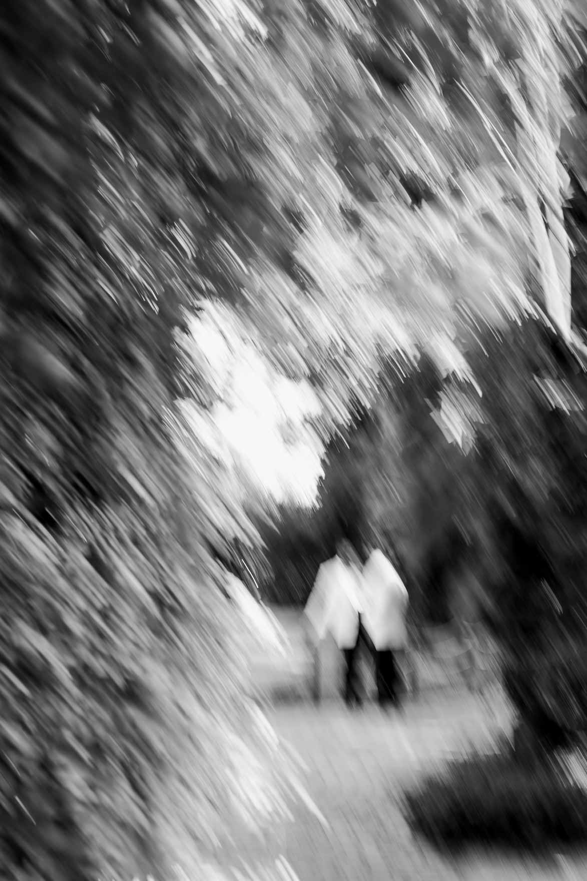 Jardines de Abril Edu Dioni
