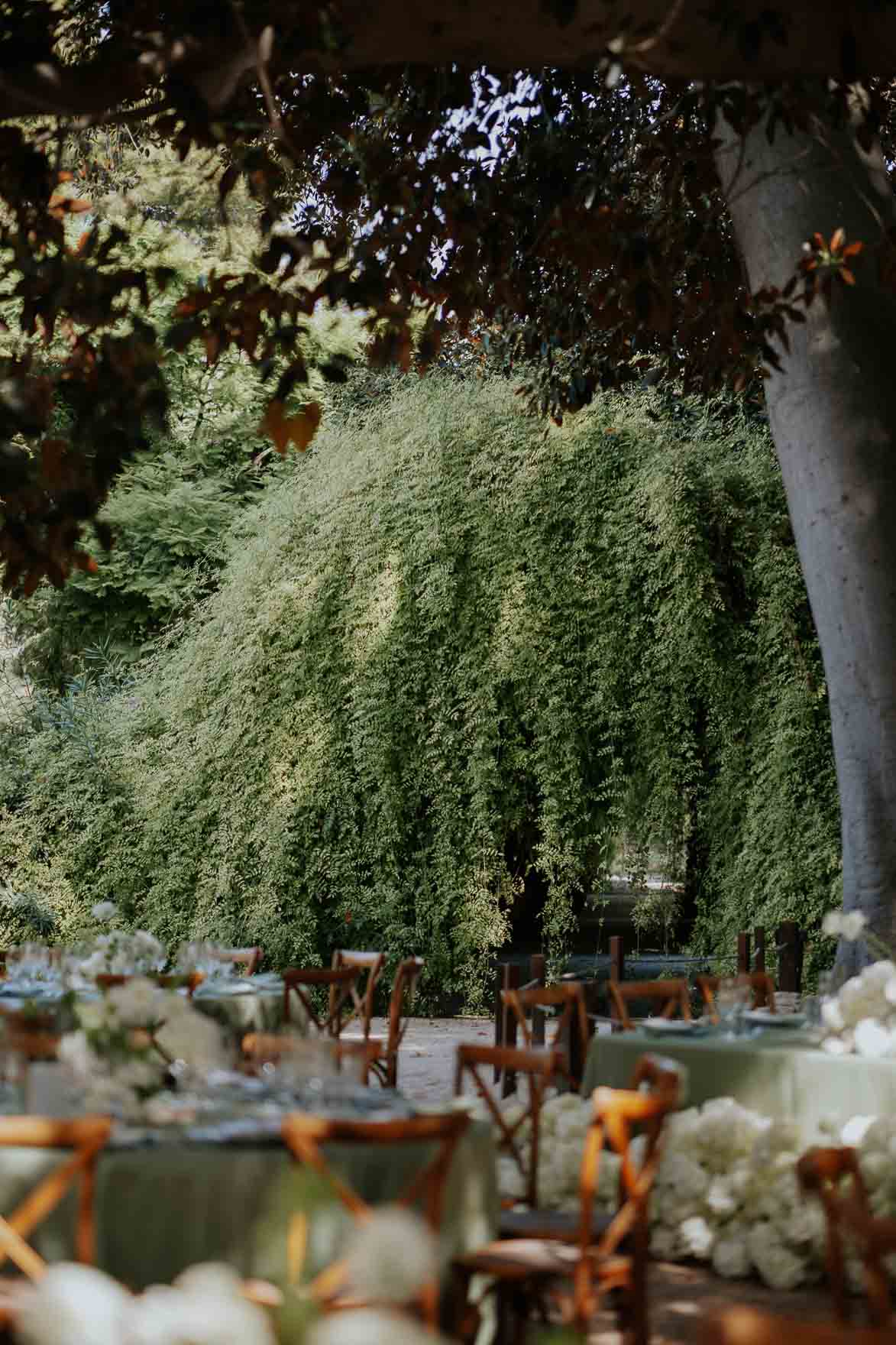 Jardines de Abril Edu Dioni