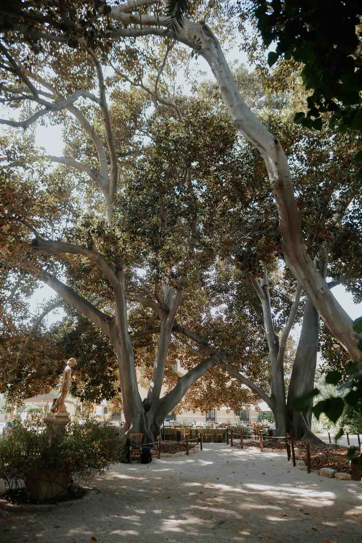 Jardines de Abril Edu Dioni