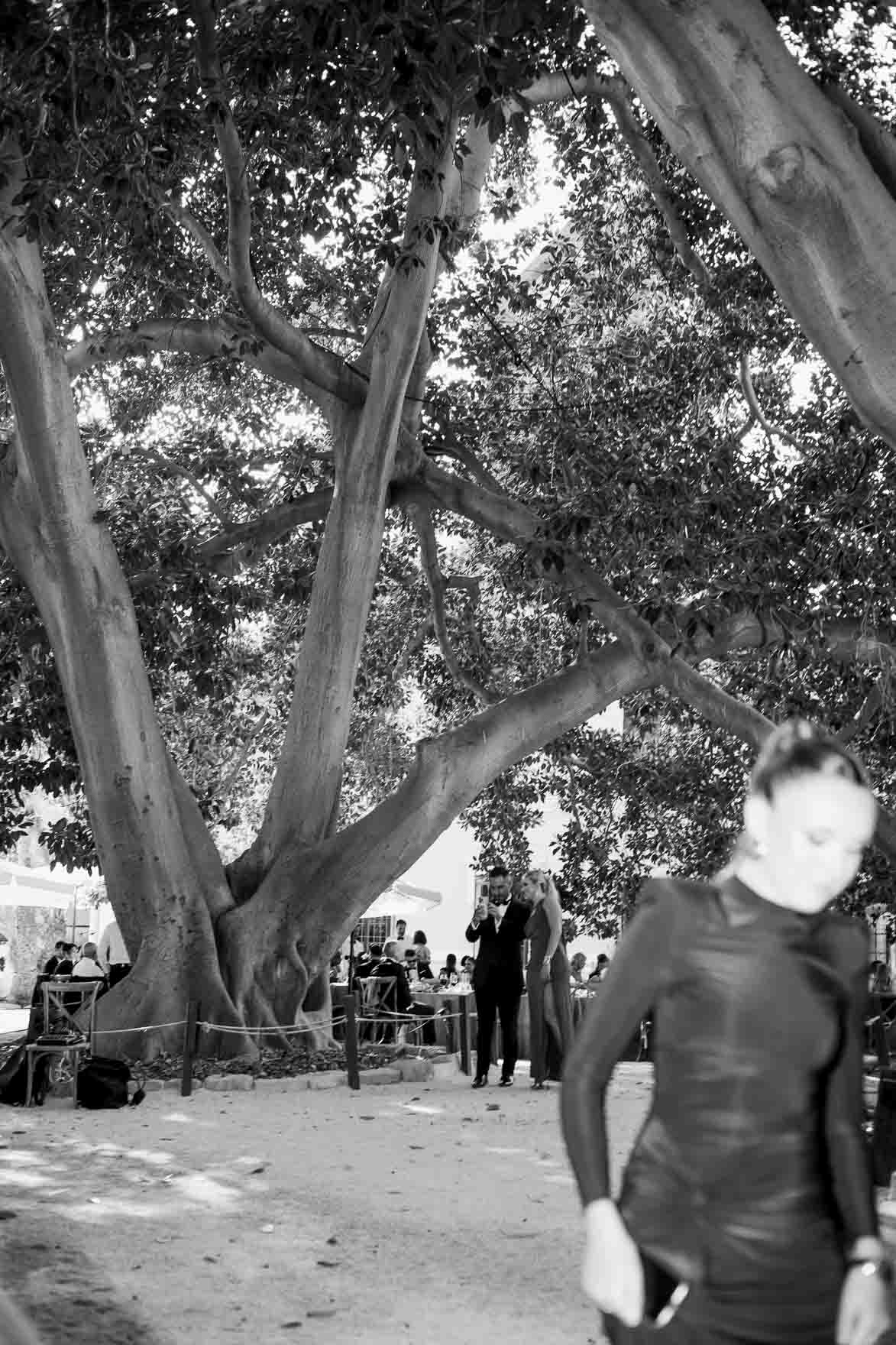 Jardines de Abril Edu Dioni