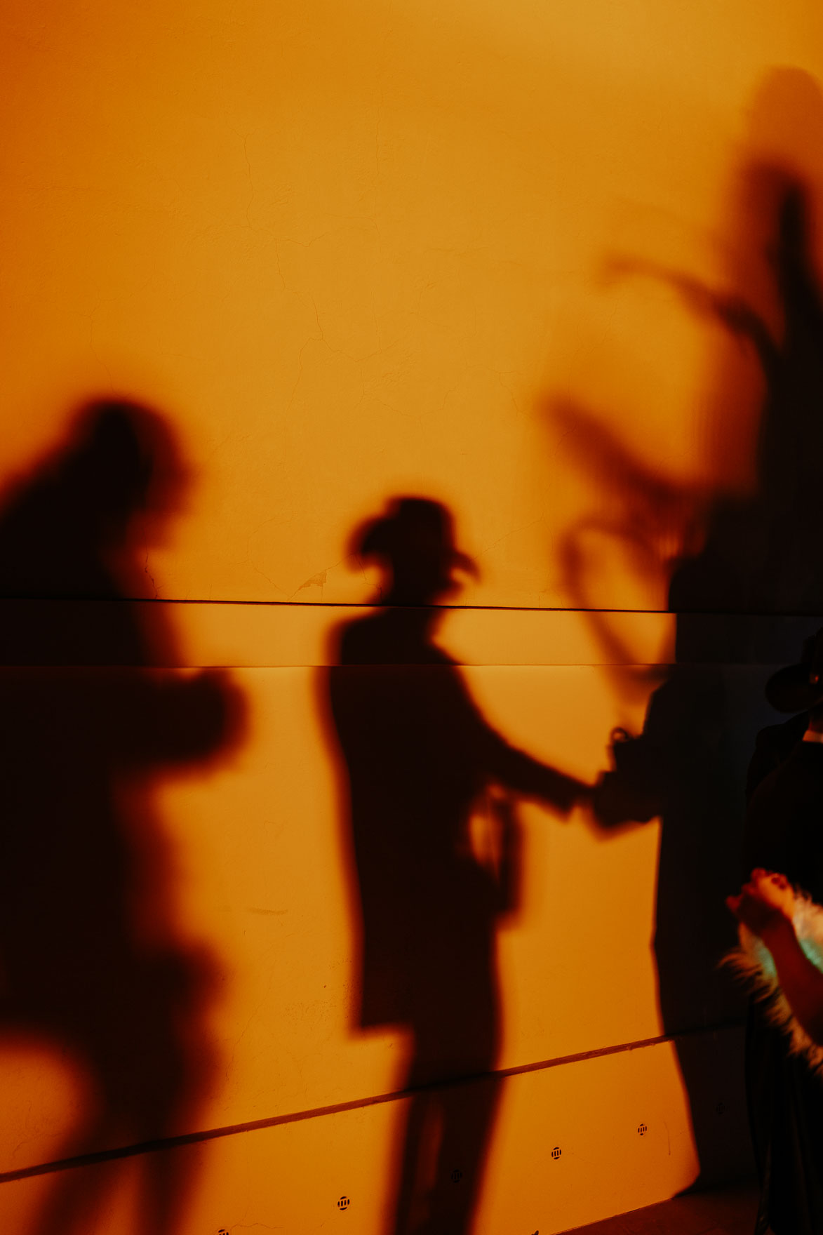 La Cartuja de Ara Christi