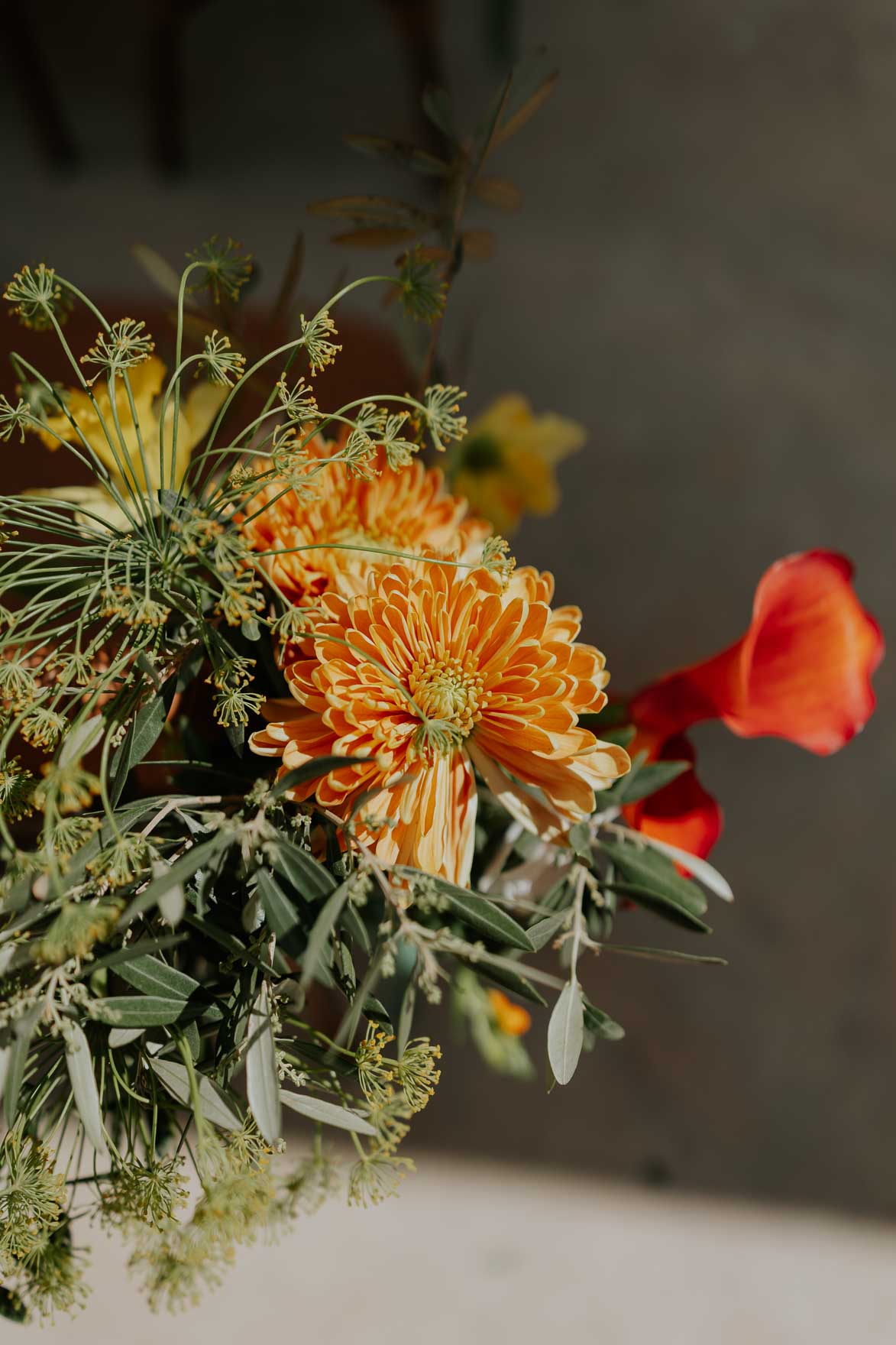 Masia de San Antonio de Poyo Valencia