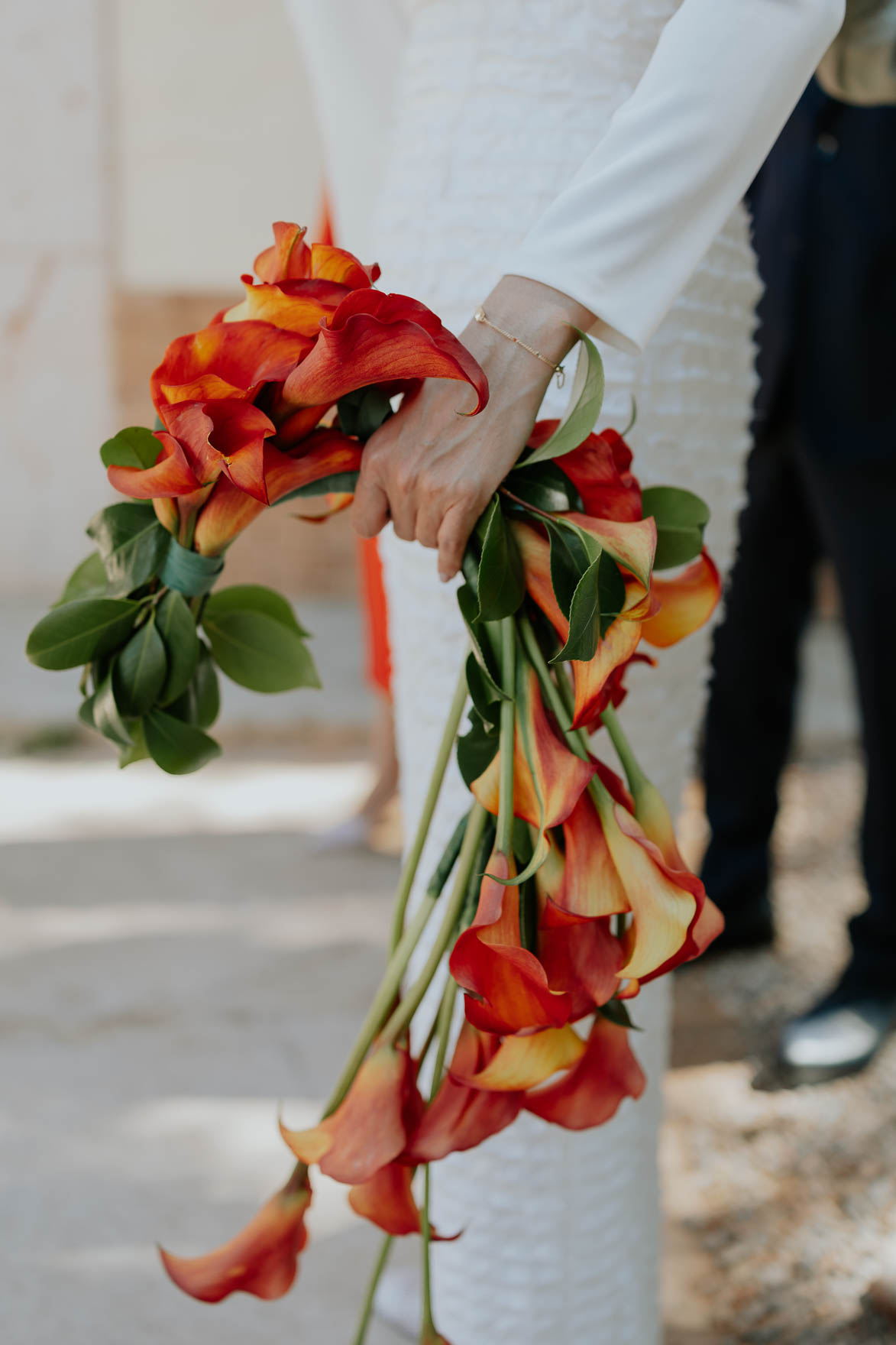 Ramo Colgante Taller de Clo