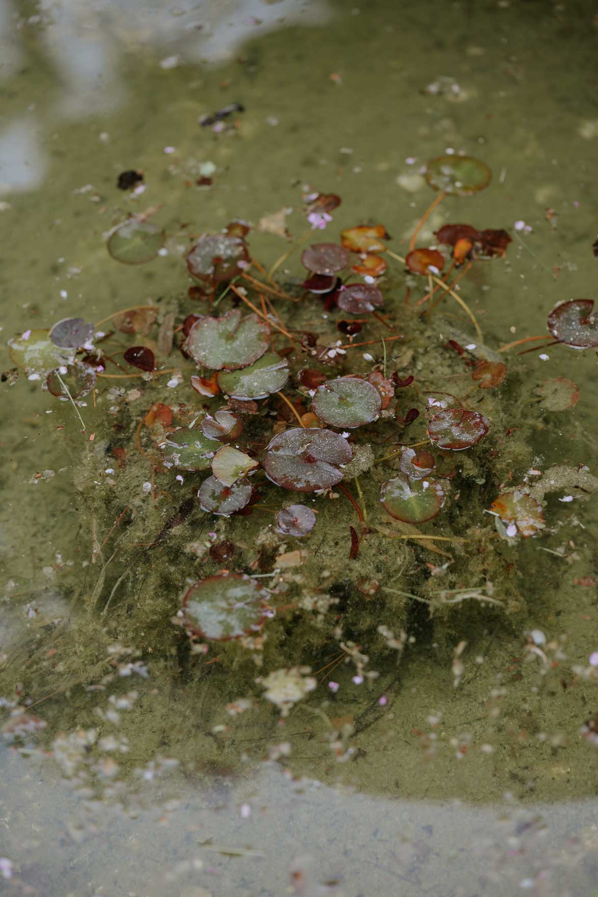 Boda religiosa en Casa Santoja