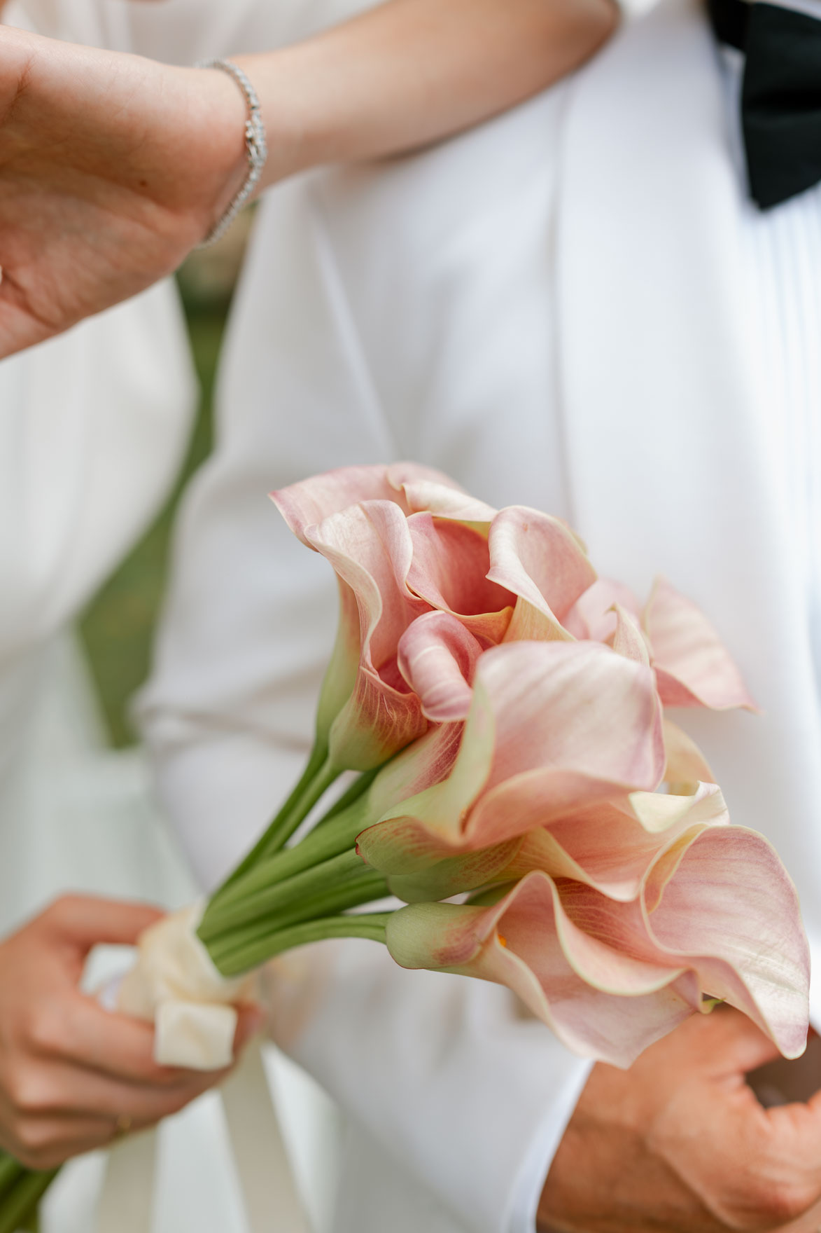 FOTOS DE BODA: UNA BODA REAL EN FINCA JUROSA