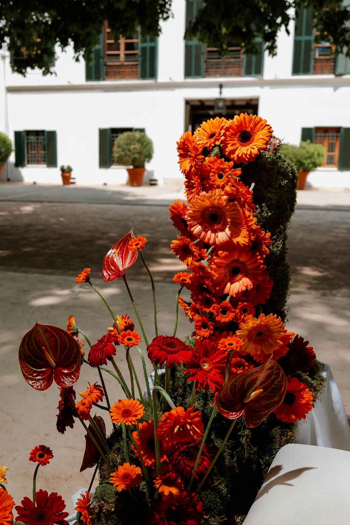 Boda en Masia Aldamar Grupo el Alto A&R