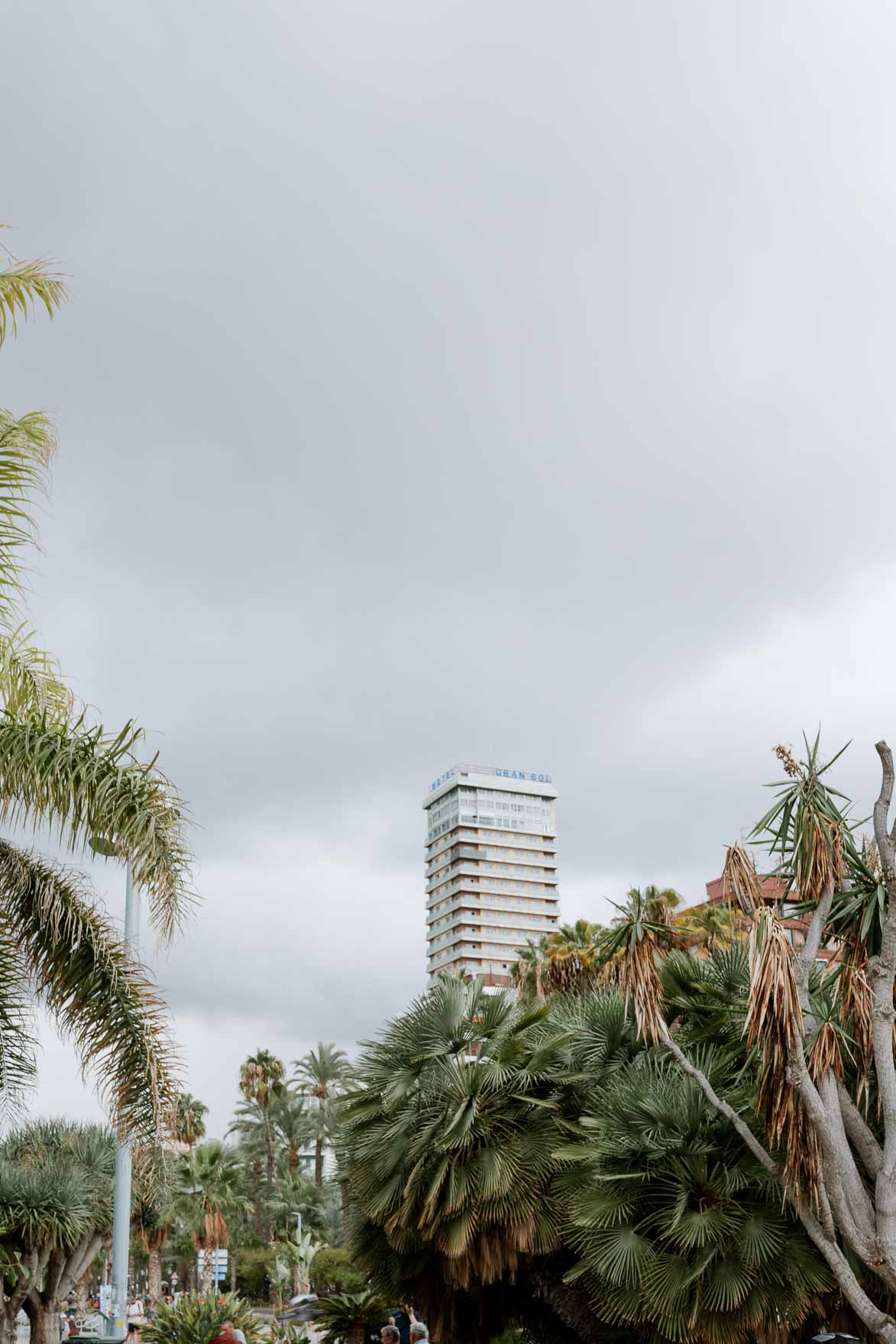 Boda en PuntaPiedra Alicante